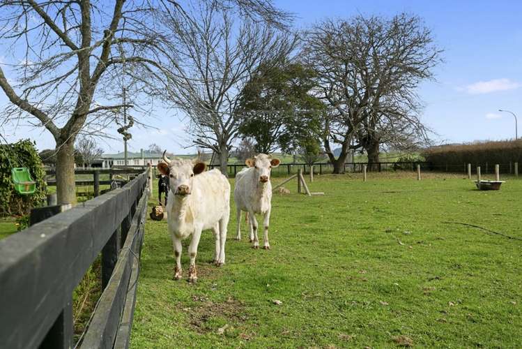 9 Pond Road Matamata_18