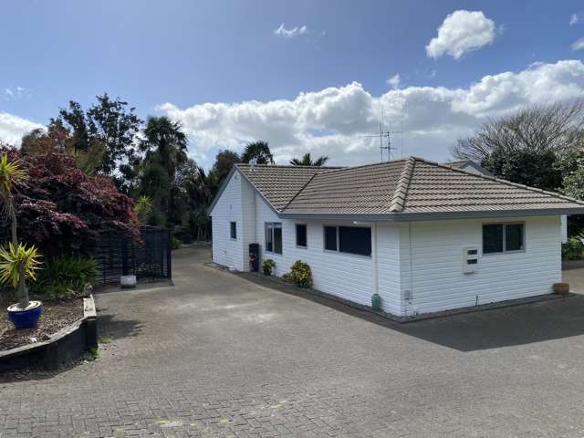 51 Hollister Lane Ohauiti_4