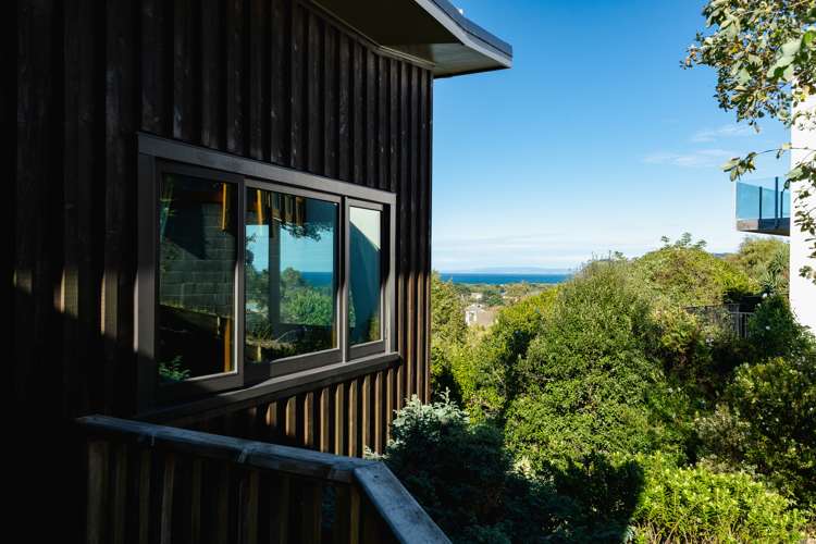 4c Minto Street Andersons Bay_19