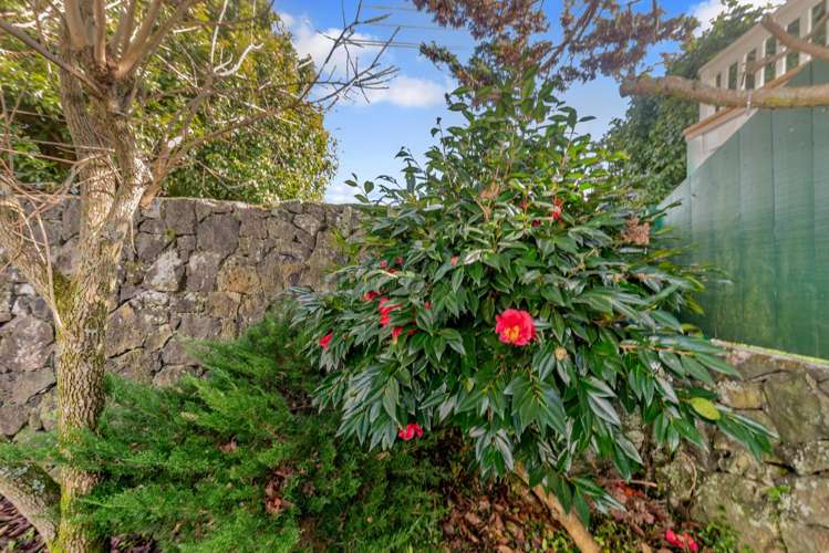 6 Fowlds Avenue Sandringham_13