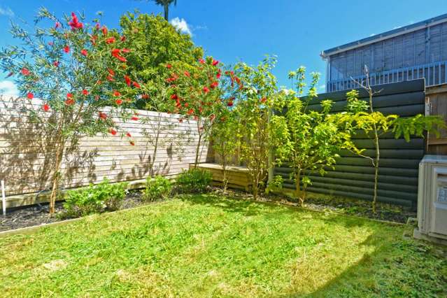 44B Cyclarama Crescent Massey_4