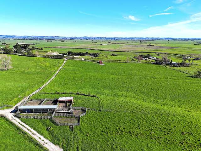15-Hectare Ready to go Lifestyle Block