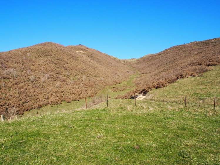 Bluff Road Sheffield_5