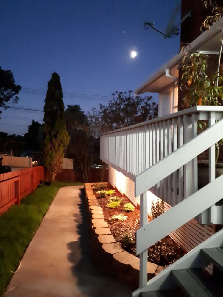 162 Don Buck Road Massey_17