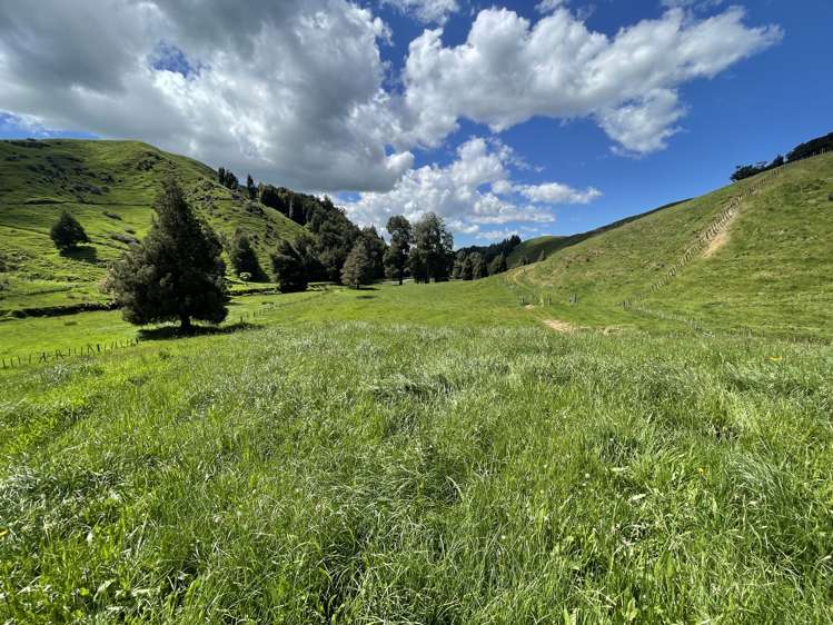 104 Tapuae Road Honikiwi_6