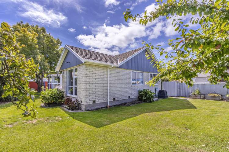 21a Leitch Street Somerfield_19