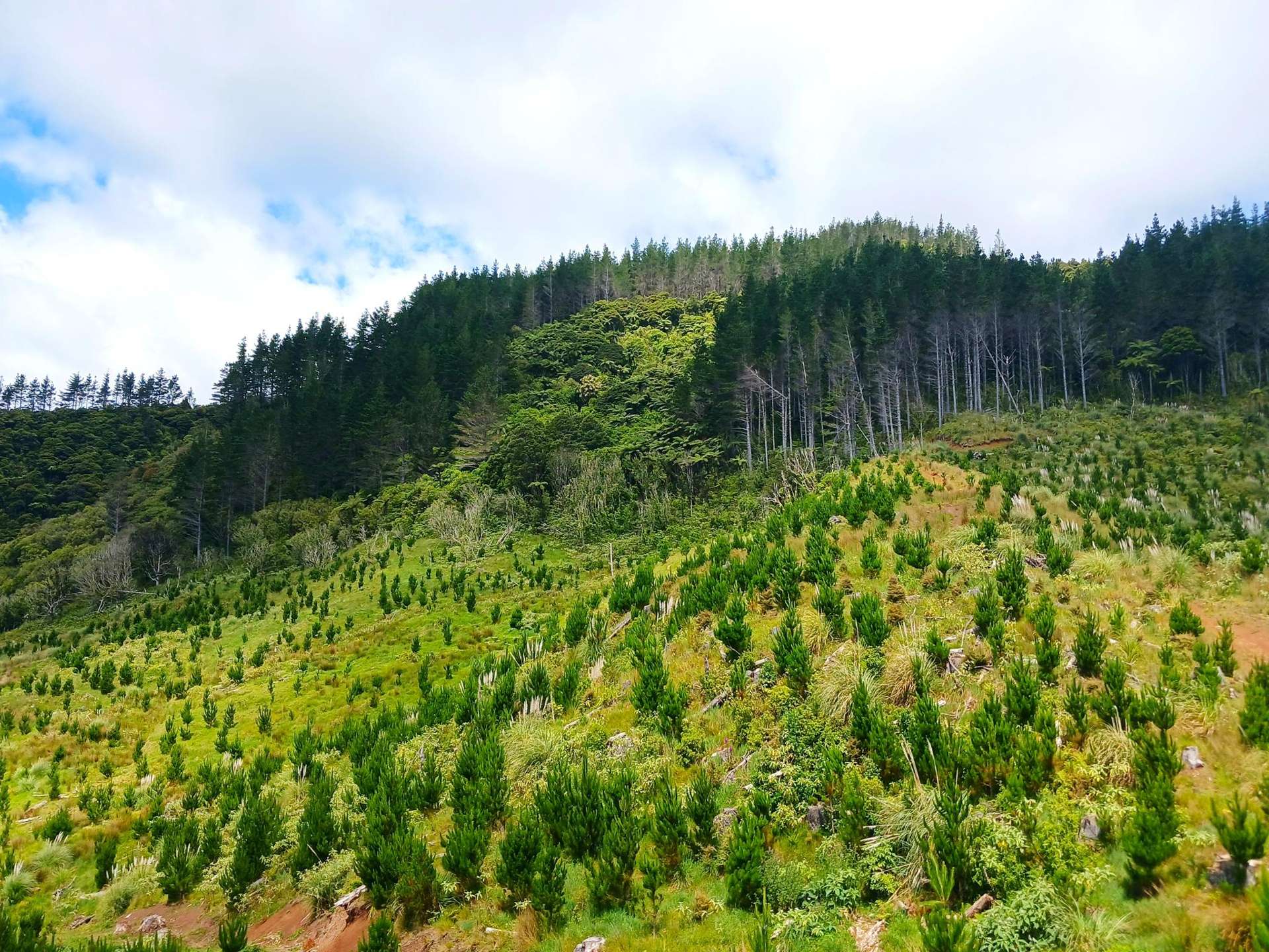 Lot 0 Te Rore Road Kaitaia_0