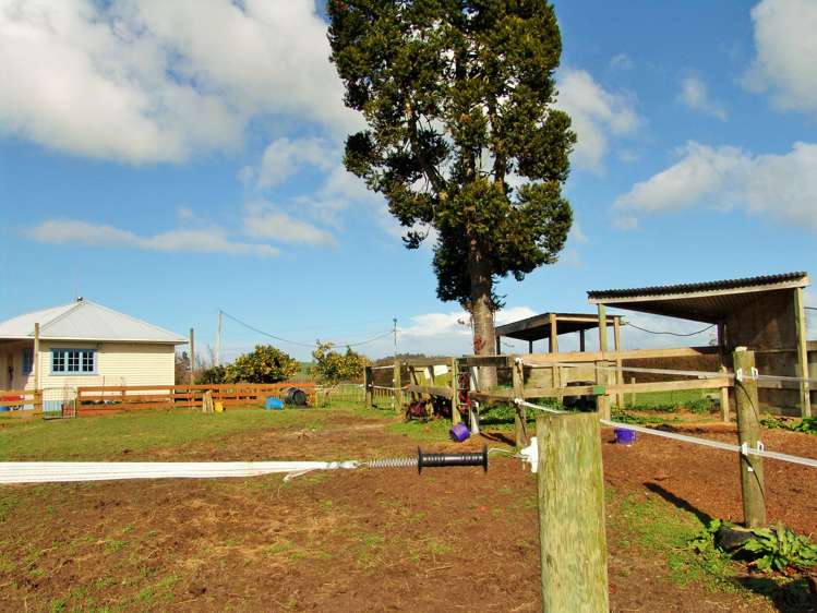 130 Kio Kio Station Road Otorohanga_10