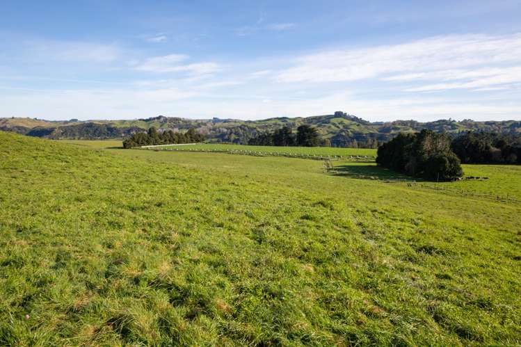 2/230 Clyde Road Burnside_5