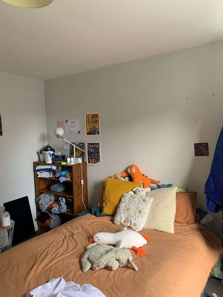 40 Cranmer Square Christchurch Central_9