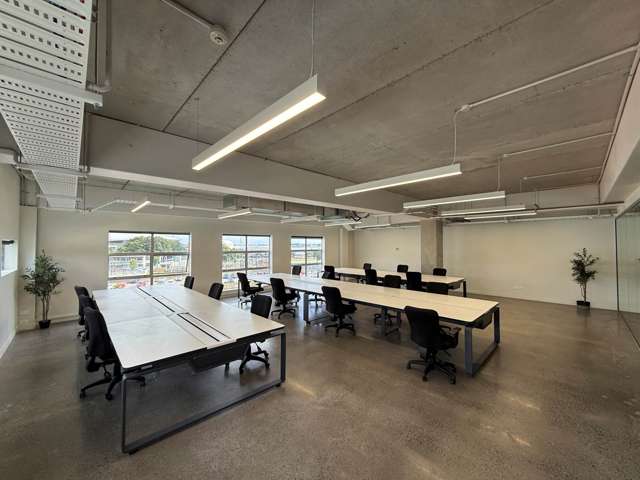 20 Augustus Terrace Parnell_2