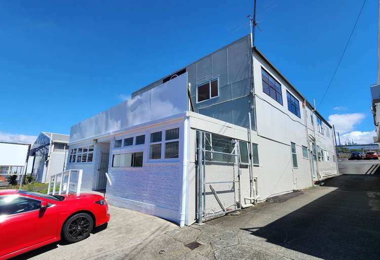 161-167 Apirana Avenue St Johns_1