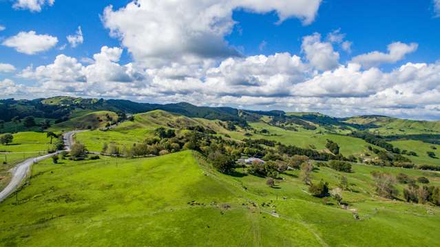 4409 Kaipara Coast Highway Tauhoa_4