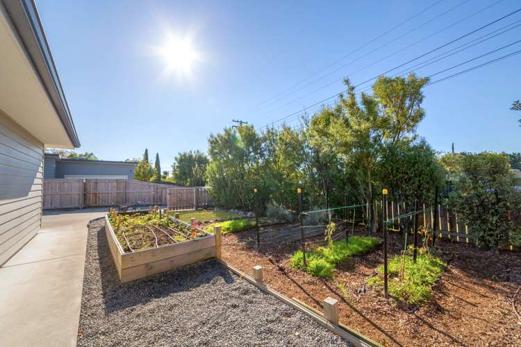 162 East Street Greytown_19