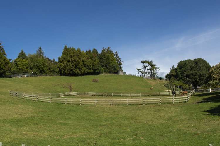 97 Ross Road Whakamarama_17