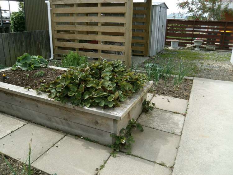 46 James Street Balclutha_12