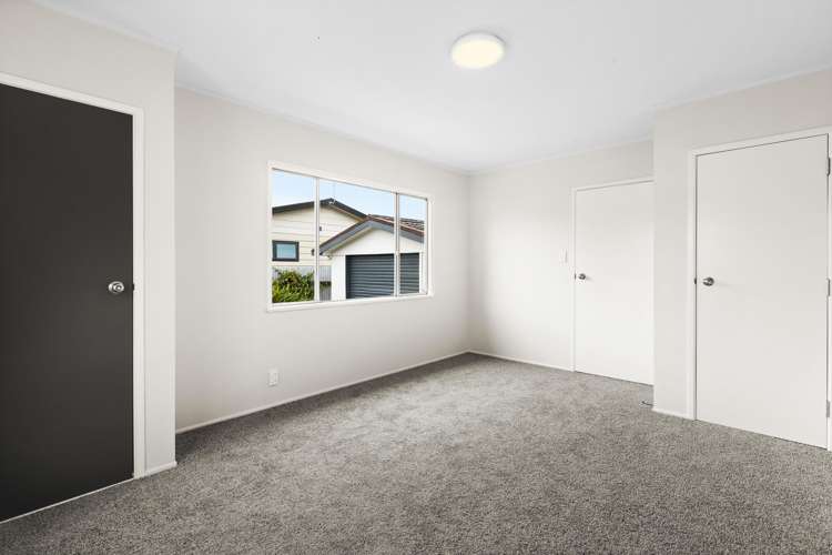 3/173 Vigor Brown Street Napier South_5