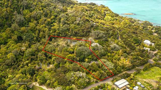 10 Puriri Place Coromandel_2