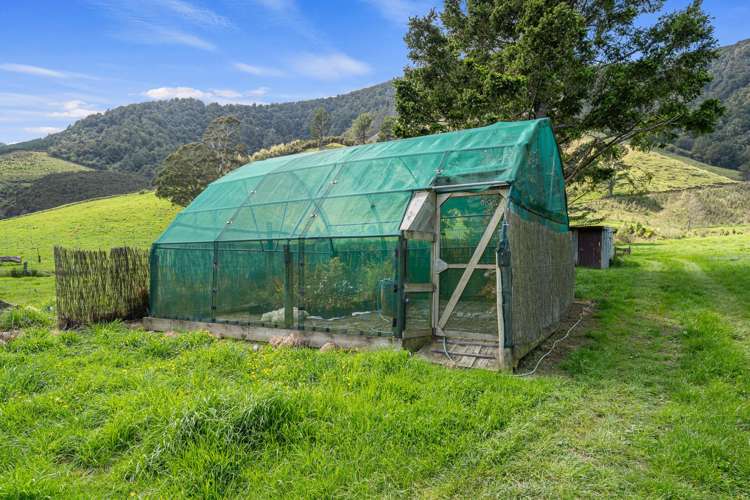 650 Ronga Road Rai Valley_21