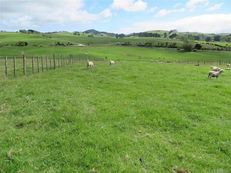 Ovens Road Matakohe_2