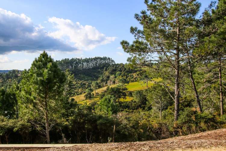 1233 East Coast Road Redvale_21