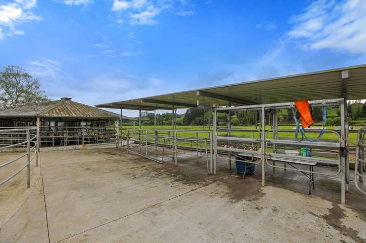 66 Kirtons Road Taumarunui_43
