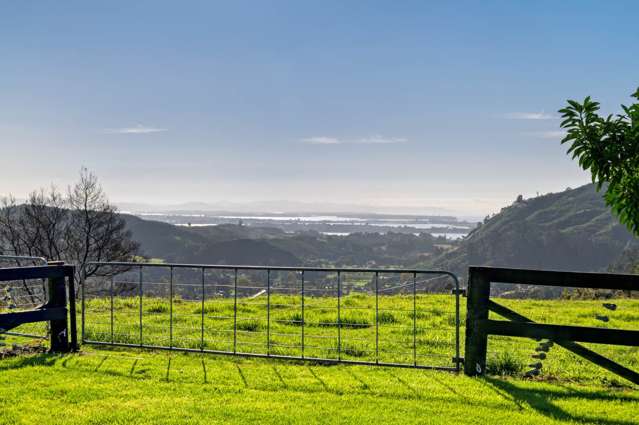 415 Rocky Cutting Road Kaimai_1