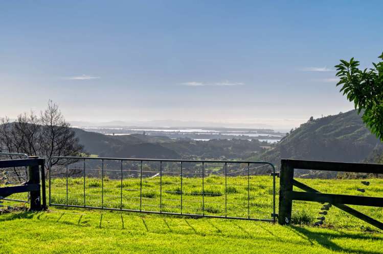 415 Rocky Cutting Road Kaimai_1