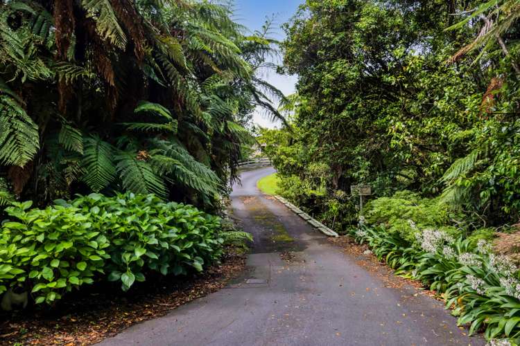 88 Rewa Street Inglewood_34