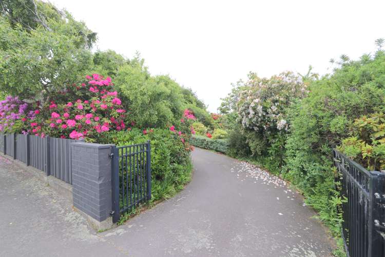 541 Herbert Street Waverley_42