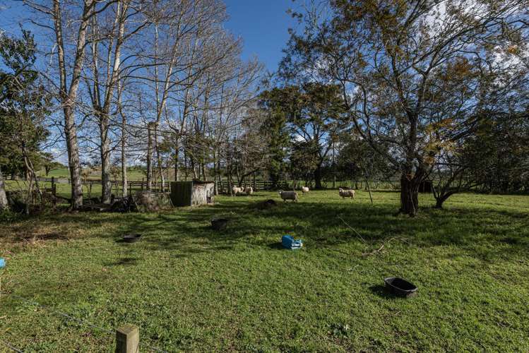 32 Draffin Road Poroti_19