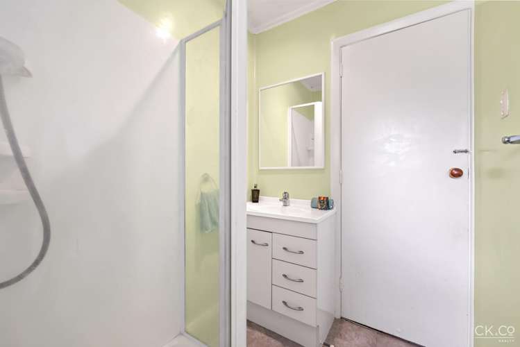 29 Queen St Petone_14