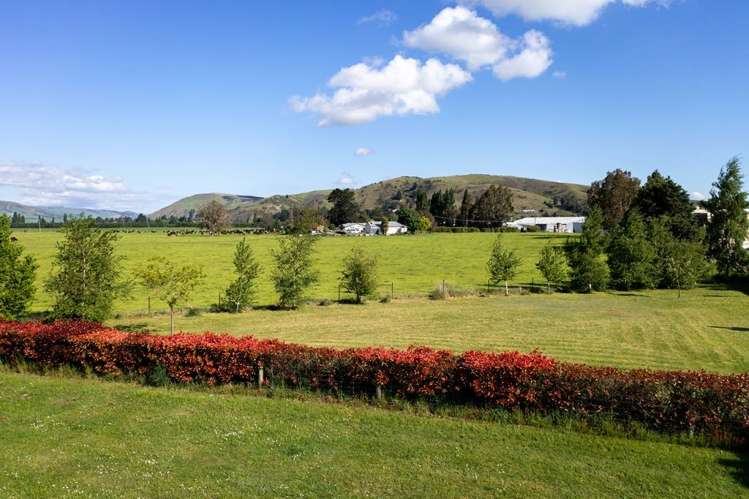 Domain Road Ettrick_9