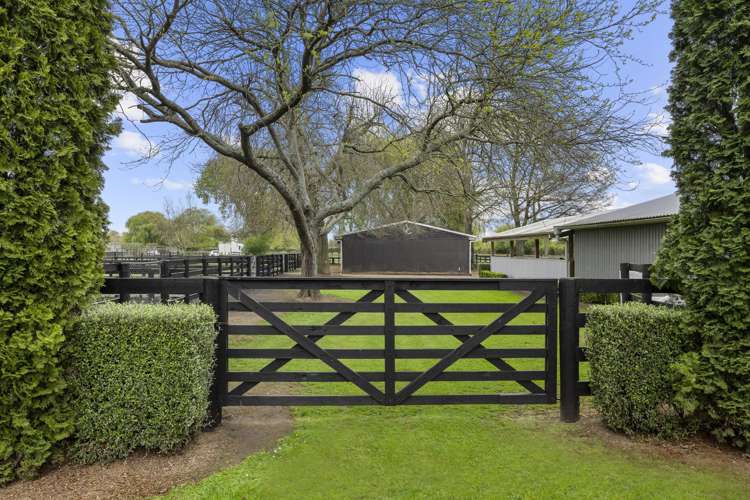 197 Peake Road Cambridge_24