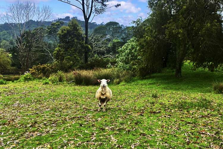 55 Messenger Road Stillwater_30