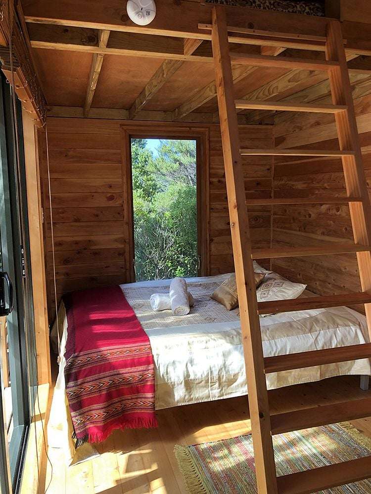 Kauri Cabin/128 Lone Kauri Road Karekare_5