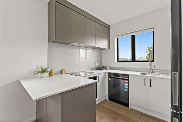 75 Freeland Avenue Mount Roskill_1