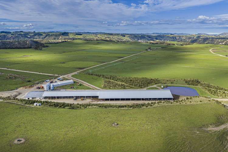 500 Willowford Road Waiwhare_7