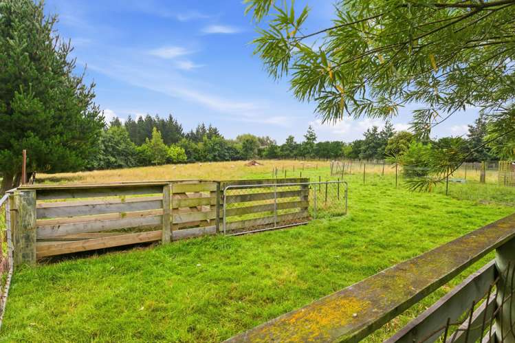 71 Blackhead Road Blackhead_33