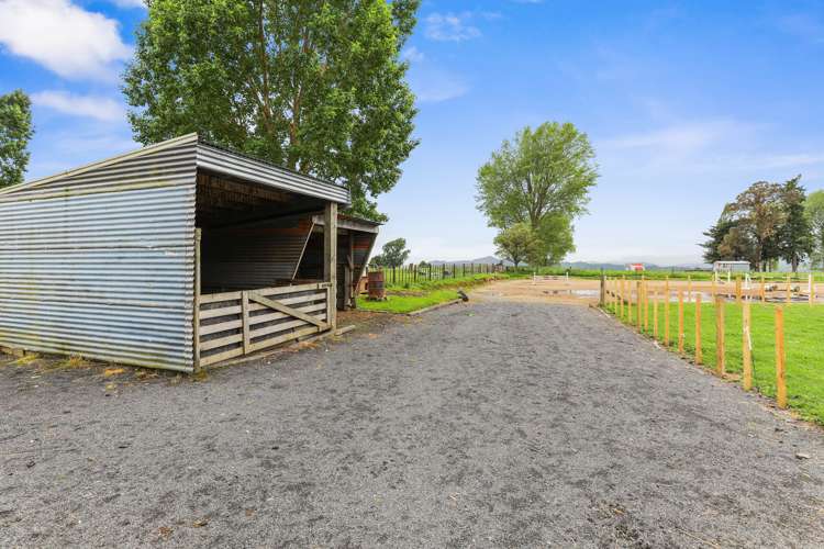 267 Whakapapa Road Kakahi_22
