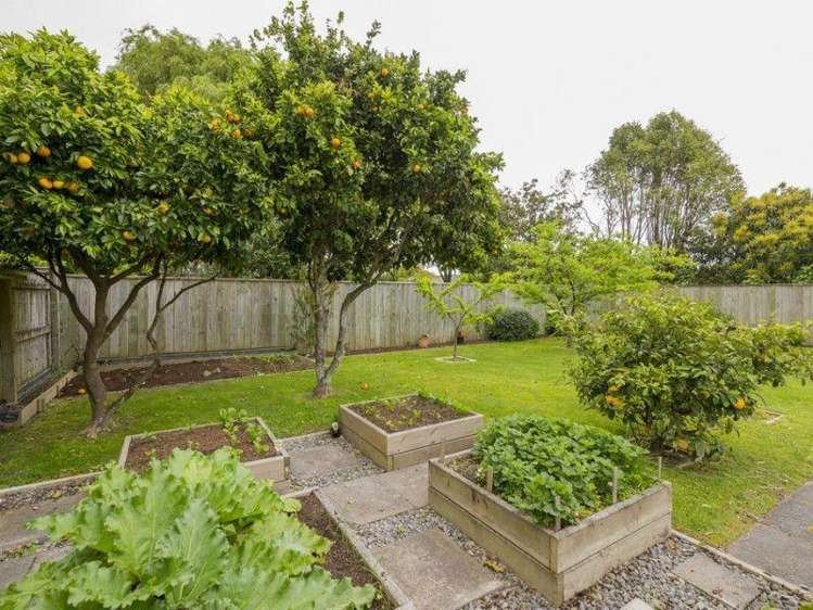 318 Te Moana Road Waikanae_13