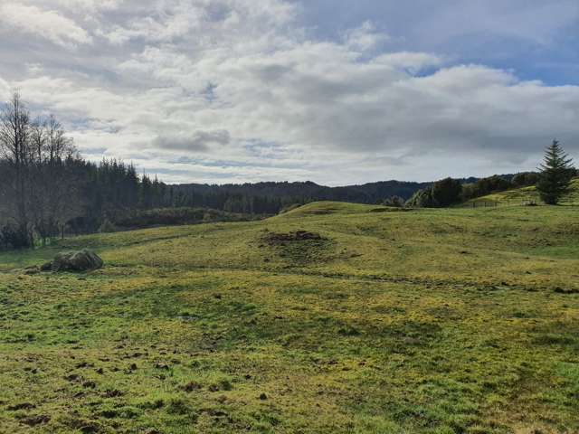 Lot 2 Lake Kaniere Road Kaniere_1