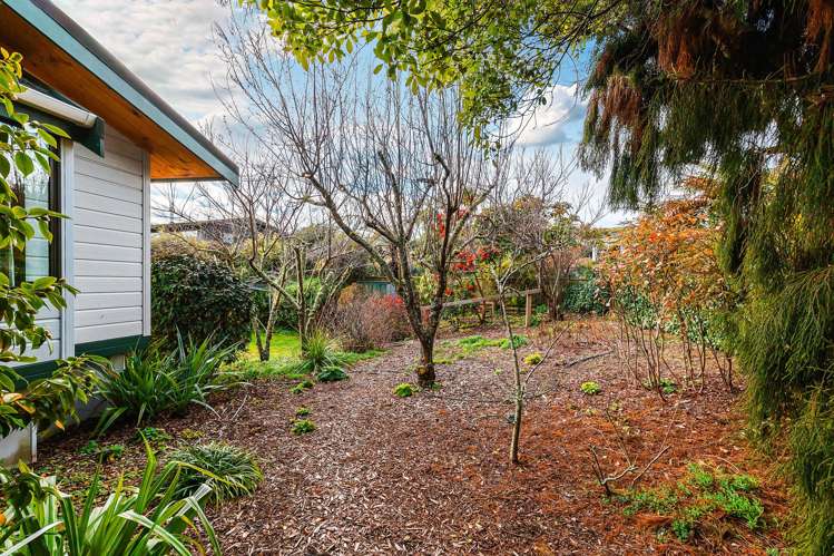 65 Harvey Street Waipahihi_29