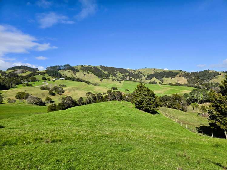 Whakahara Road Dargaville_7