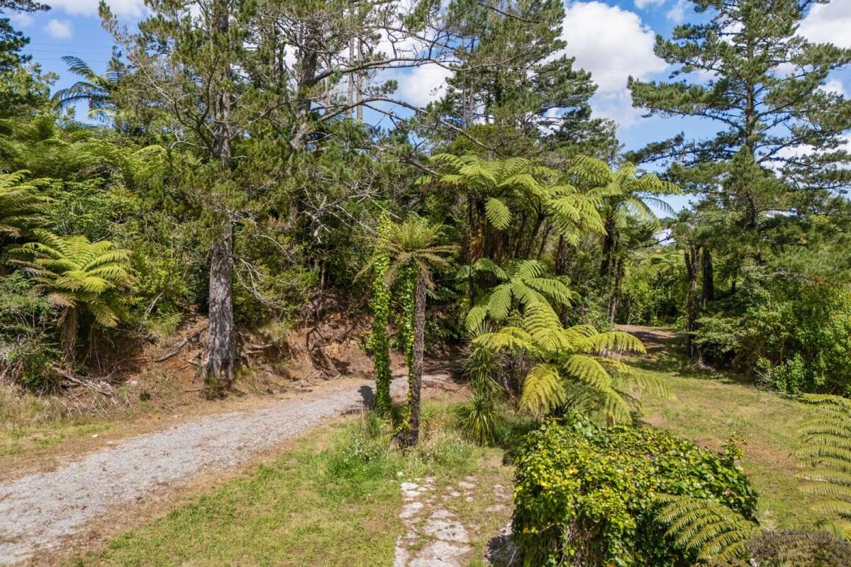 30 Scheltema Road, Waikino_5