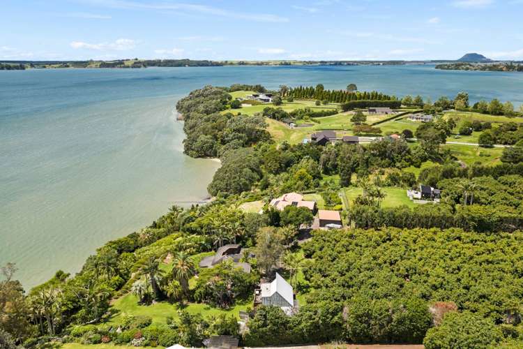 313 Pahoia Road Whakamarama_1