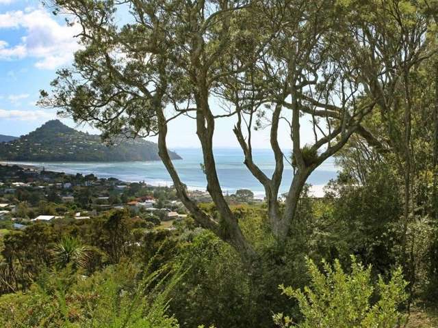 57 Mount Avenue Pauanui_4