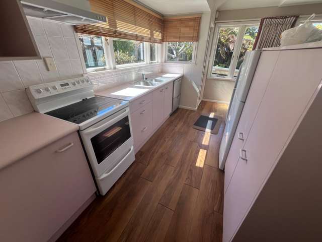 14 Teti Street Wharewaka_4