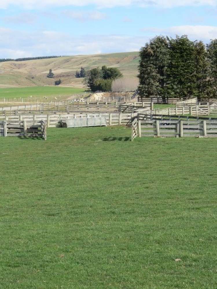 649 Kauru Hill Road Five Forks and Surrounds_32