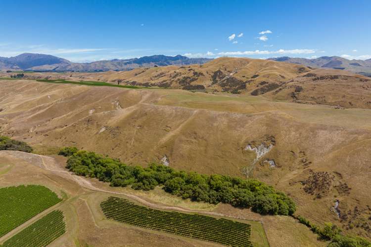 167 Marama Road Seddon_18